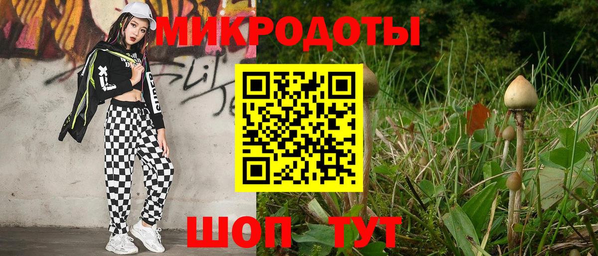 Псилоцибиновые грибы ЛСД Михайловка