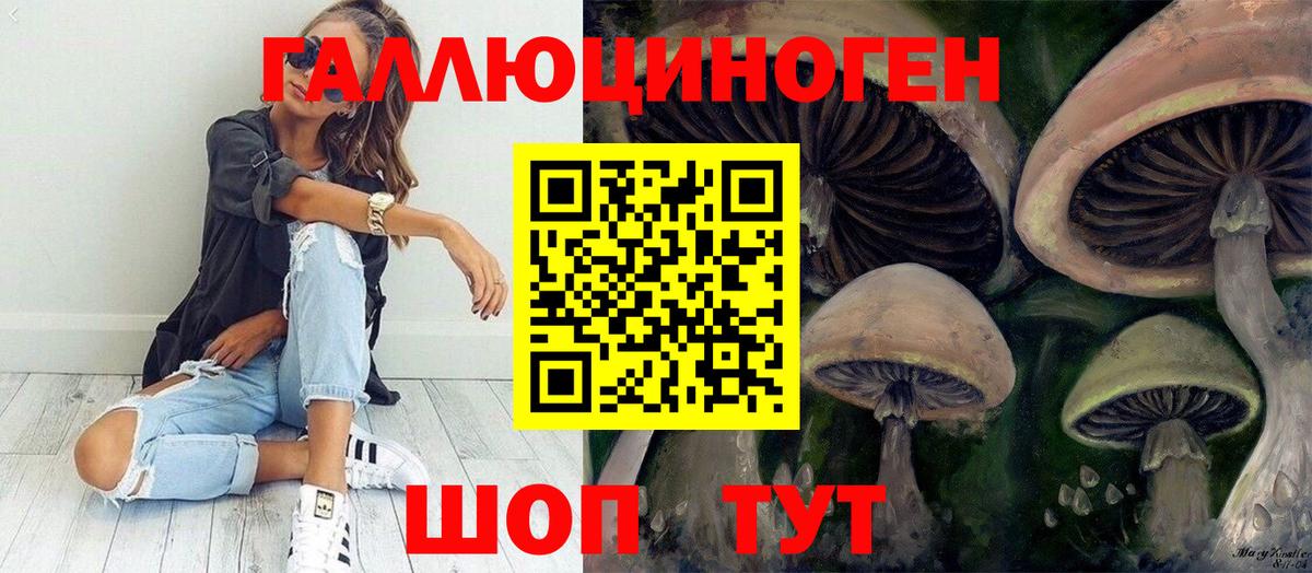 Галлюциногенные грибы Cubensis  Вход с VPN  Михайловка 